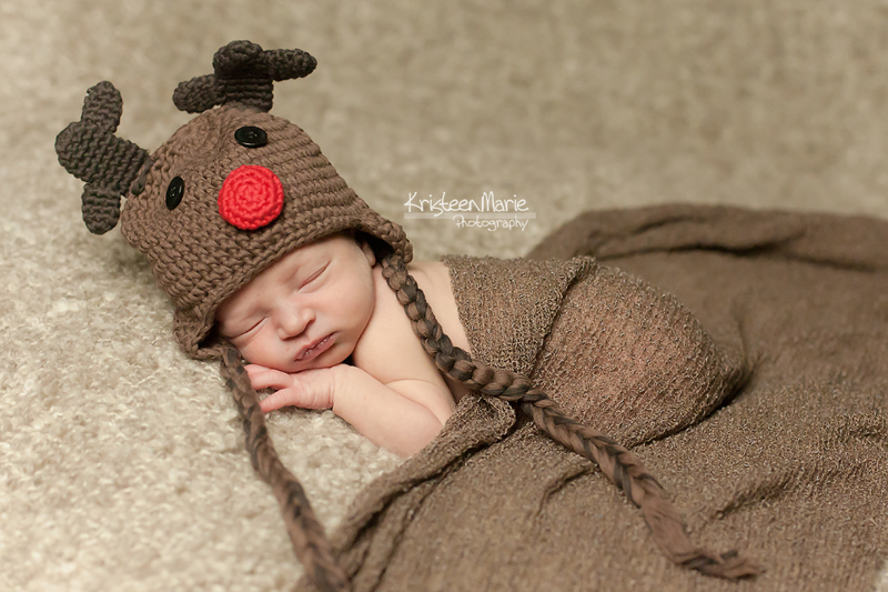 Reindeer newborn