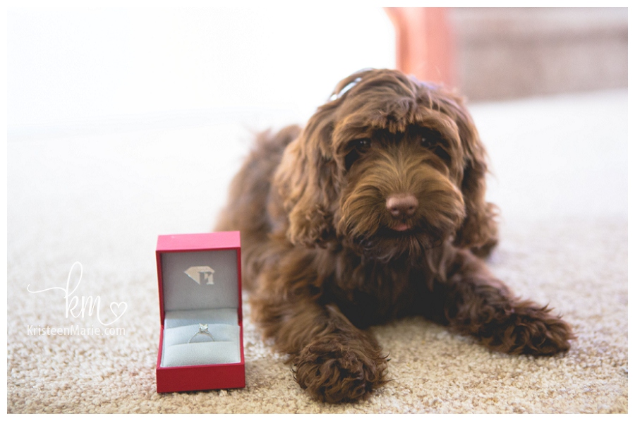 Puppy and Engagement Ring