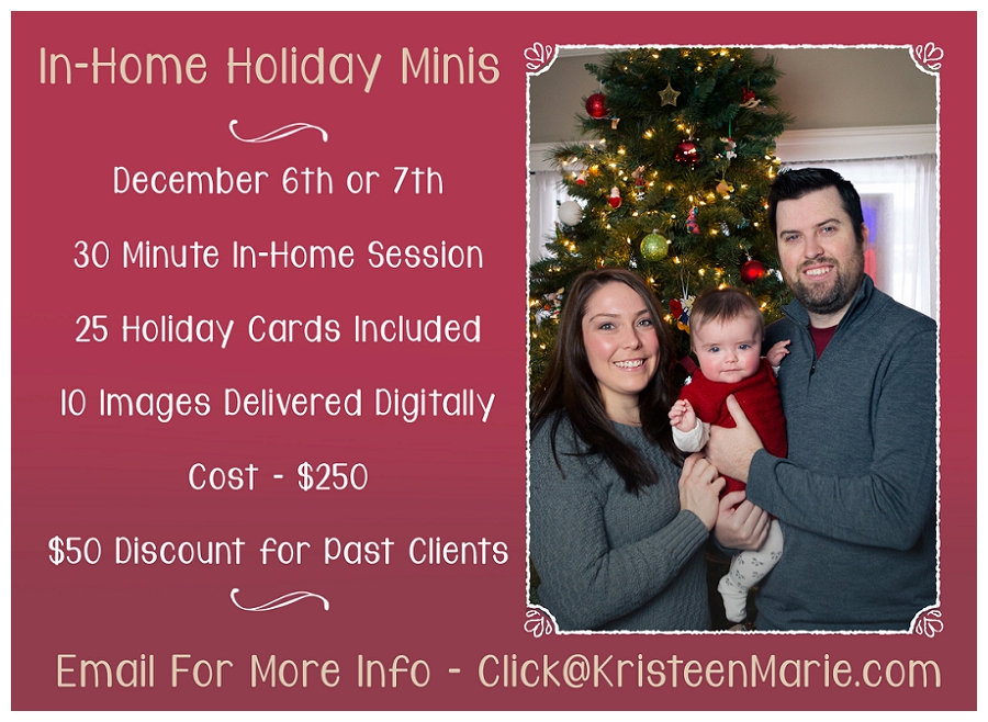 In-Home Holiday Mini Session in Indianapolis