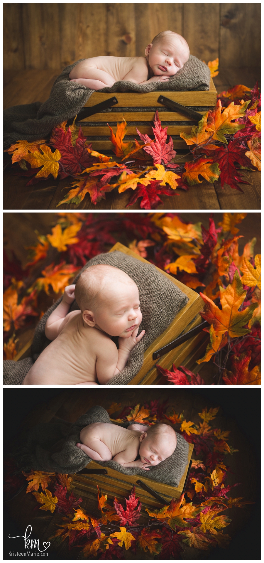 Fall Leaves Themed Newborn Picture
