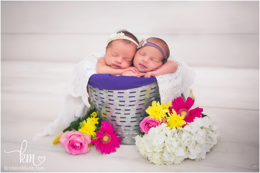 noblesville twin newborn photographer