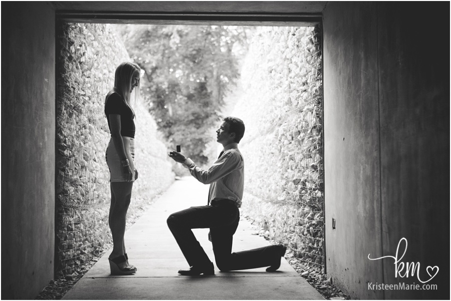 Proposal at the Indianapolis museum of art