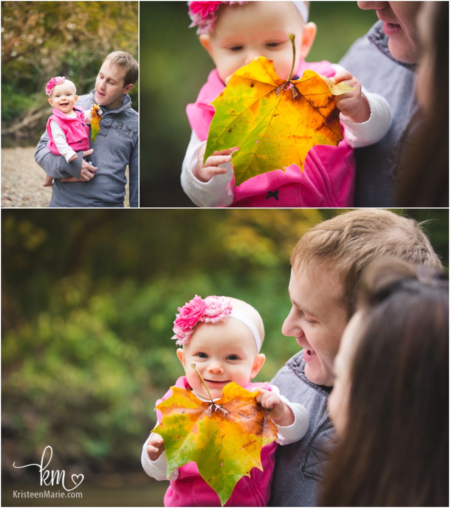 fall time pictures with big pretty leaves