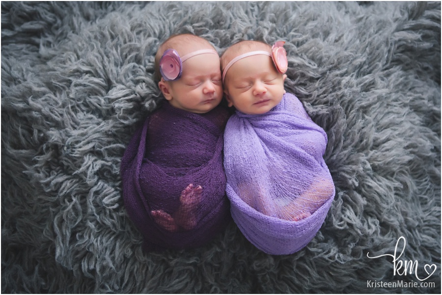 twin newborn girls in purple