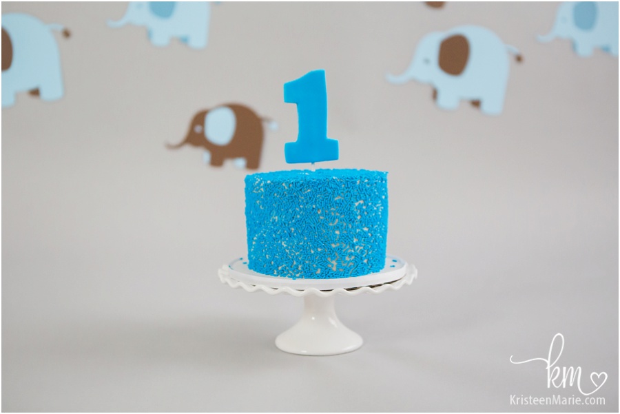 birthday cake - elephant themed