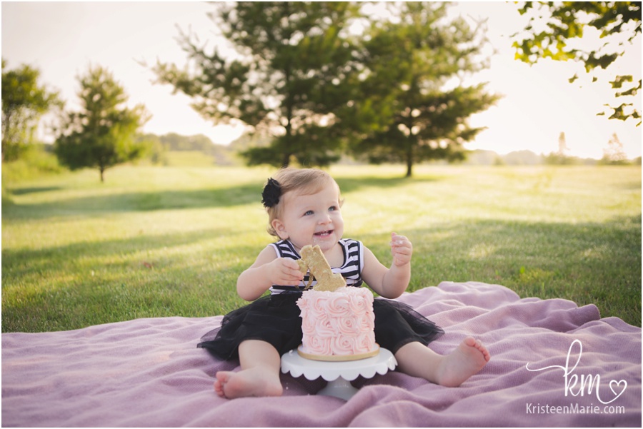 Indianapolis child 1st birthday photography - cake smash