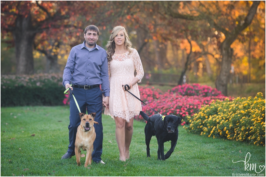 engagement picture with dogs