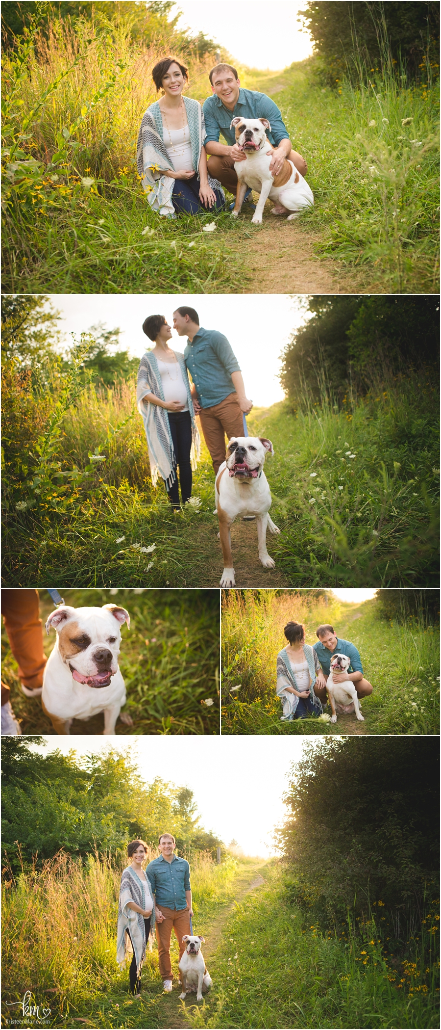 sunset maternity pictures with bulldog