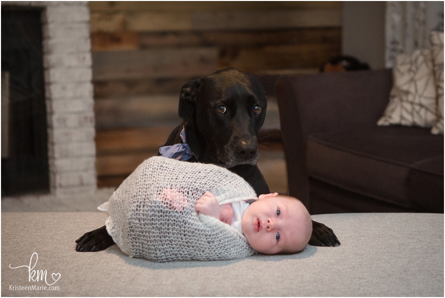 dog and newborn baby