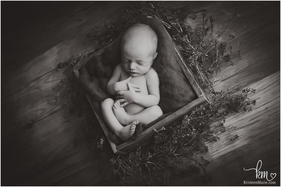 black and white image of baby boy in basket
