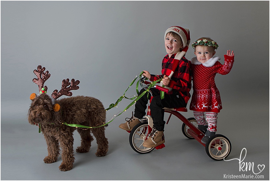 Christmas picture - toddler and baby on little red bike pulled by dog dressed as reindeer