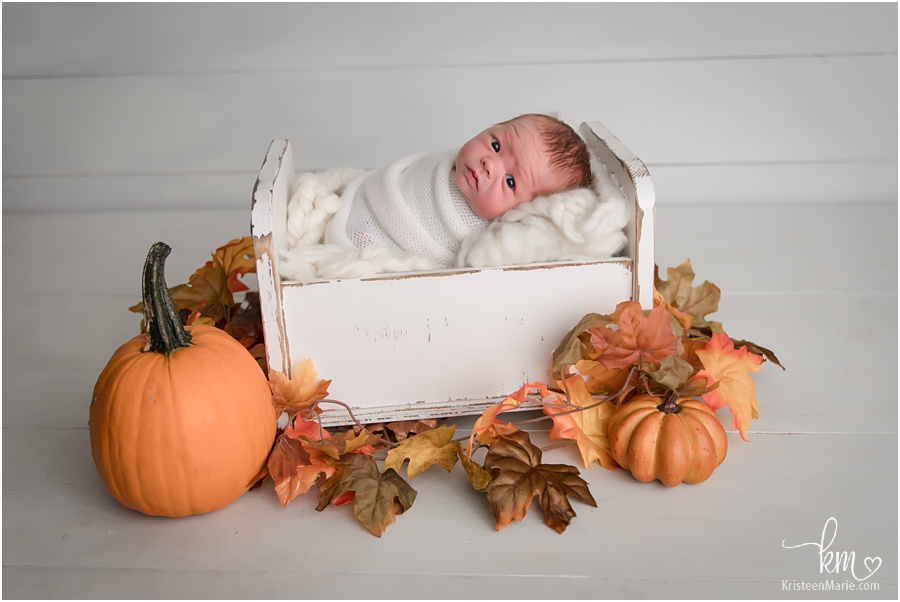 fall themed newborn photography 