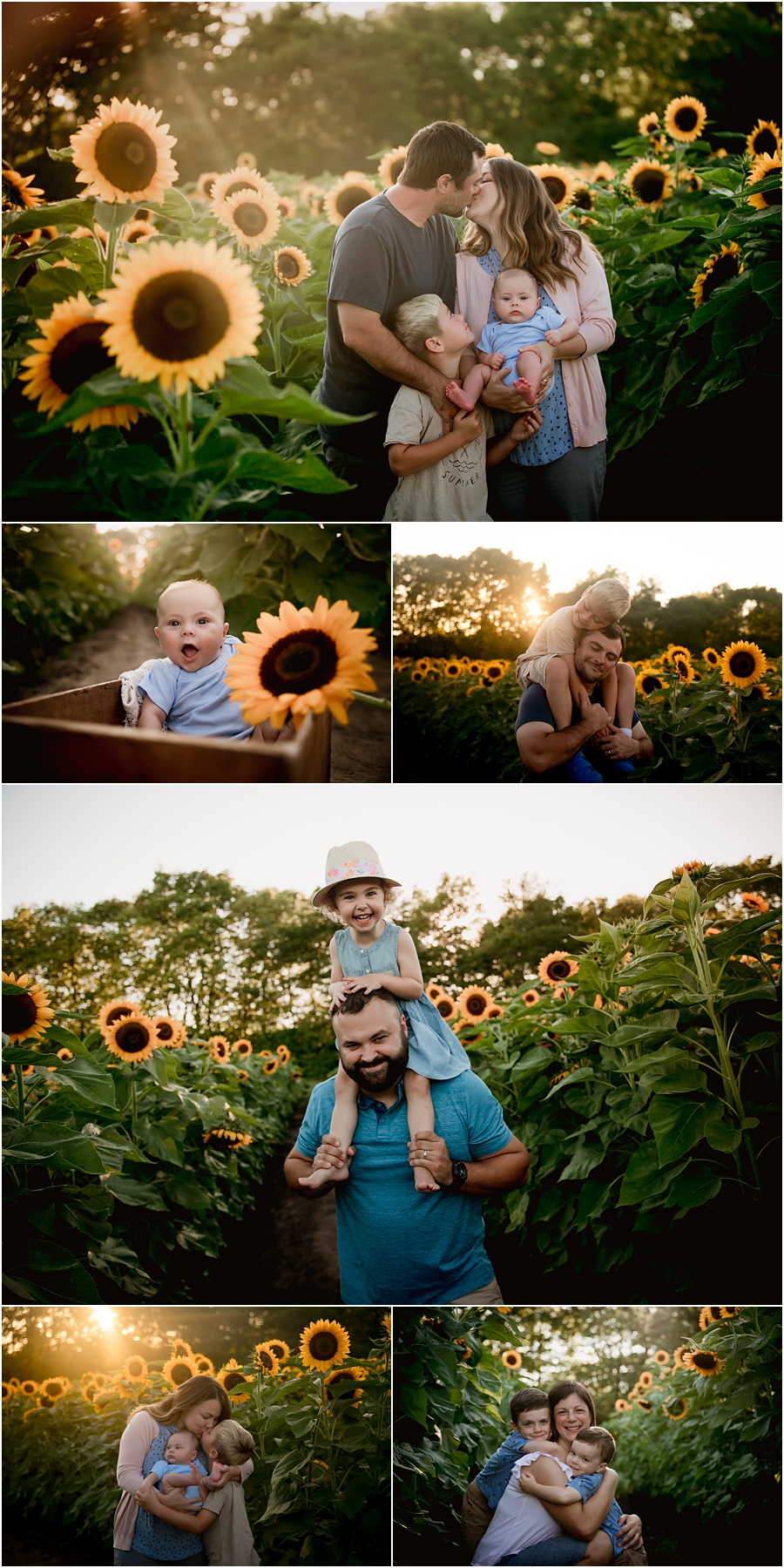 Sunflower field photography sessions in Indianapolis