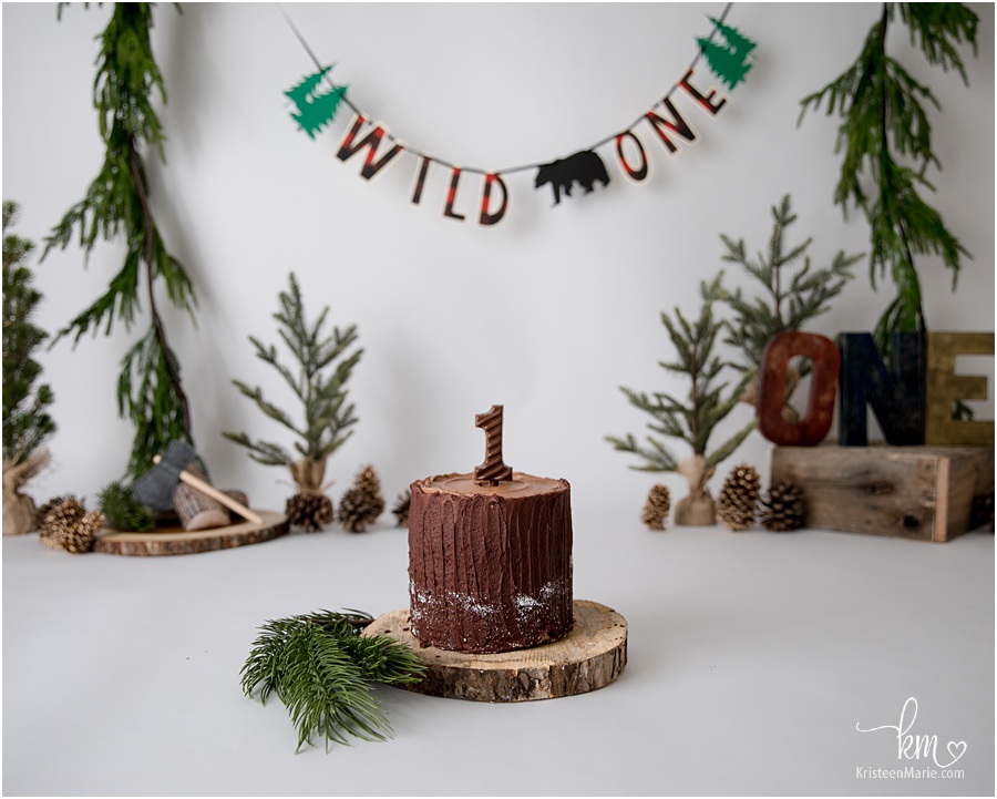 Wild One Lumber Jack 1st birthday cake smash session - the cake the set-up