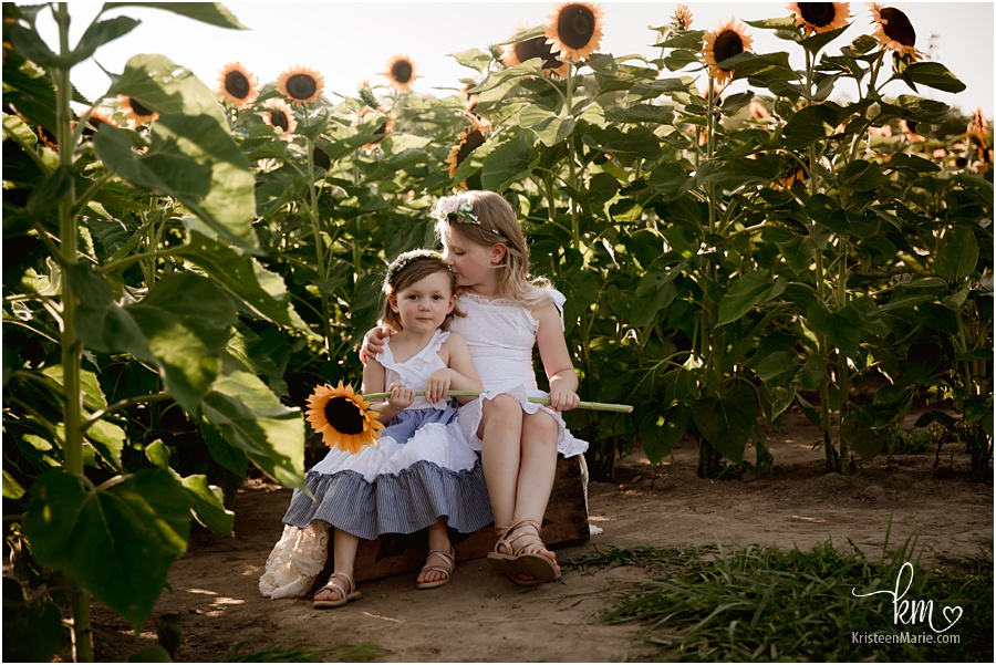 Sisters in sunflower field