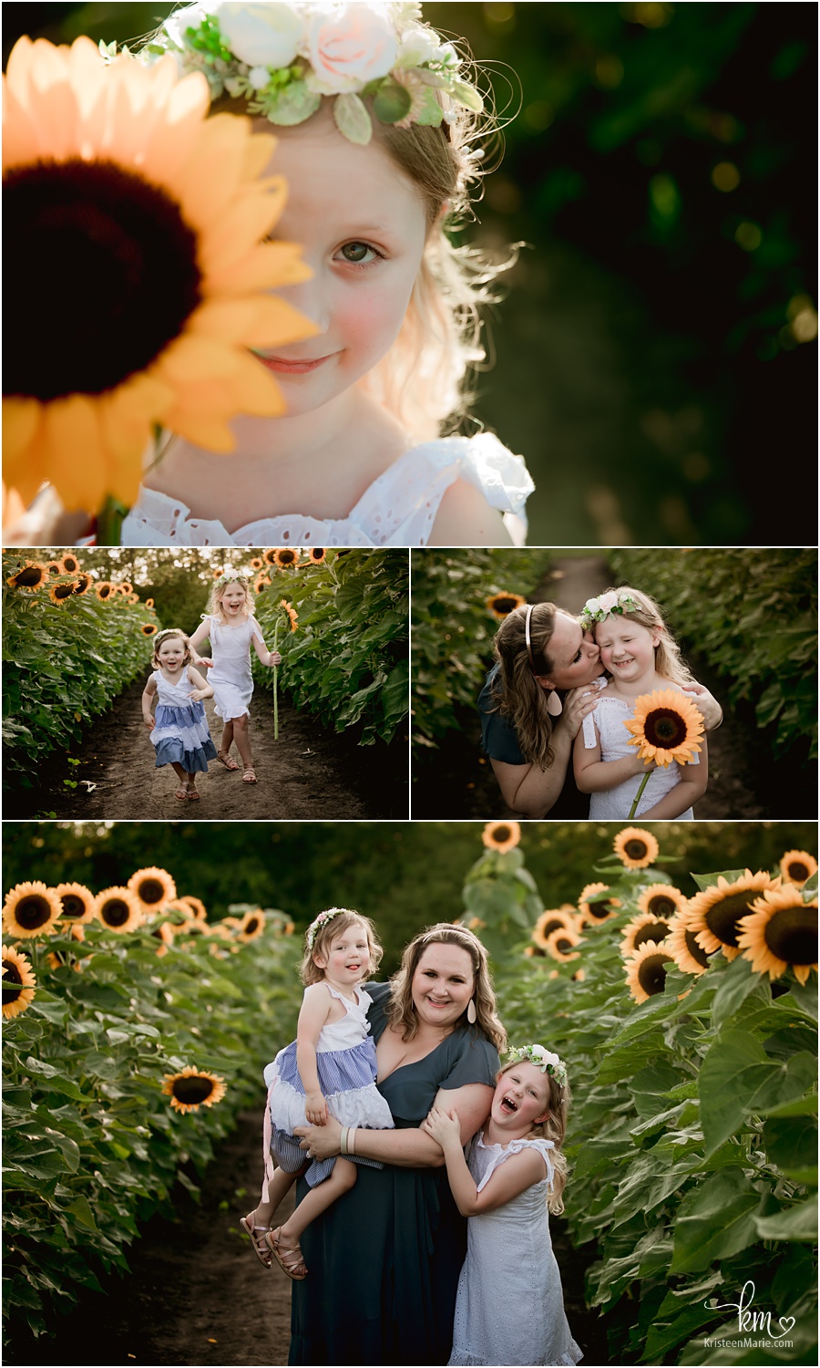 Sunflower family pictures