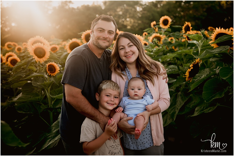 Indianapolis family photographer - sunflower field