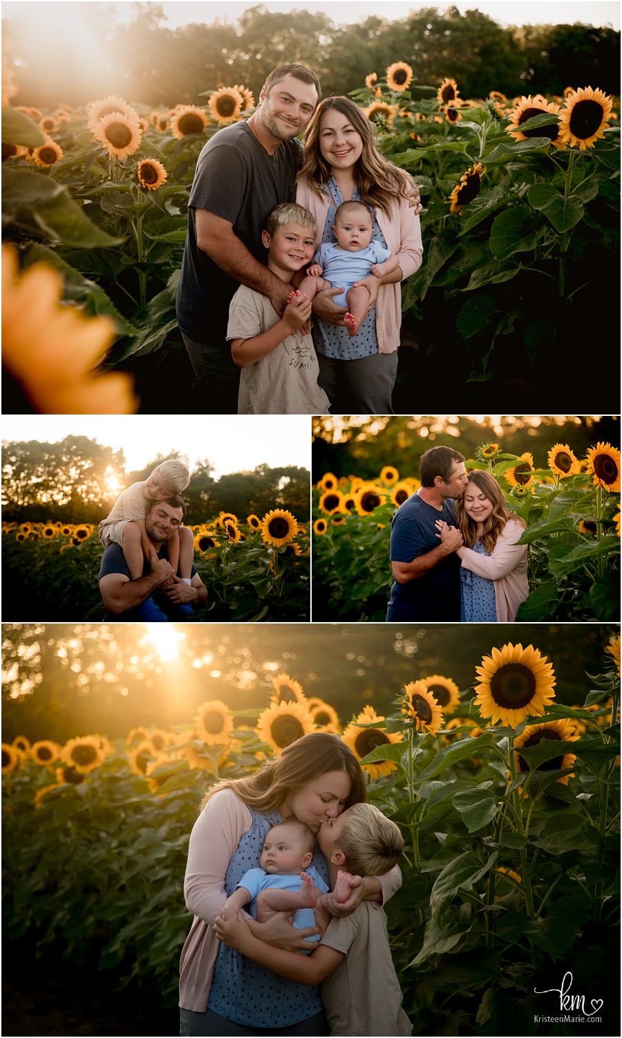Family photography sunflower field at sunset