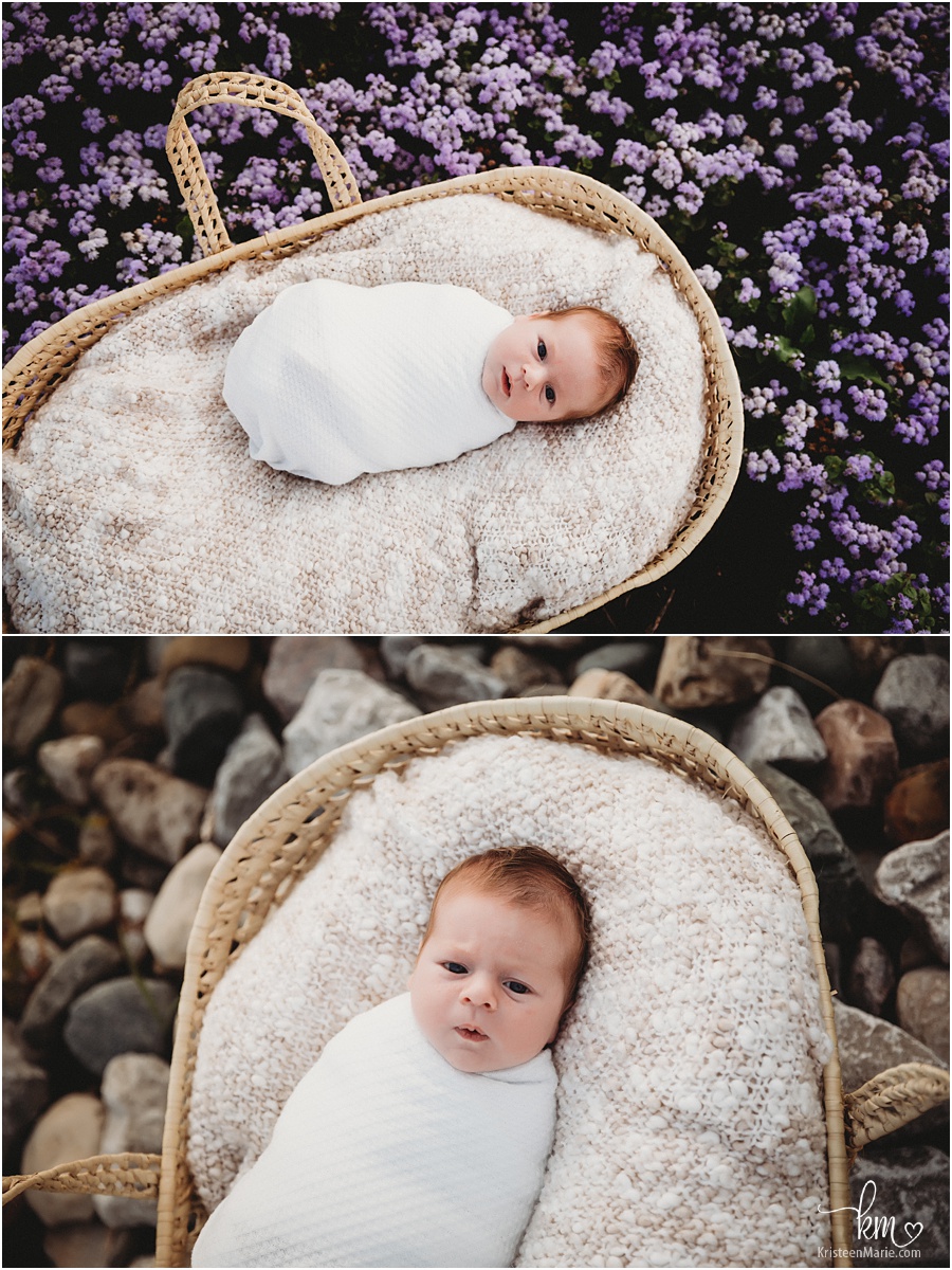 newborn boy in mosus basket outdoor newborn pictures