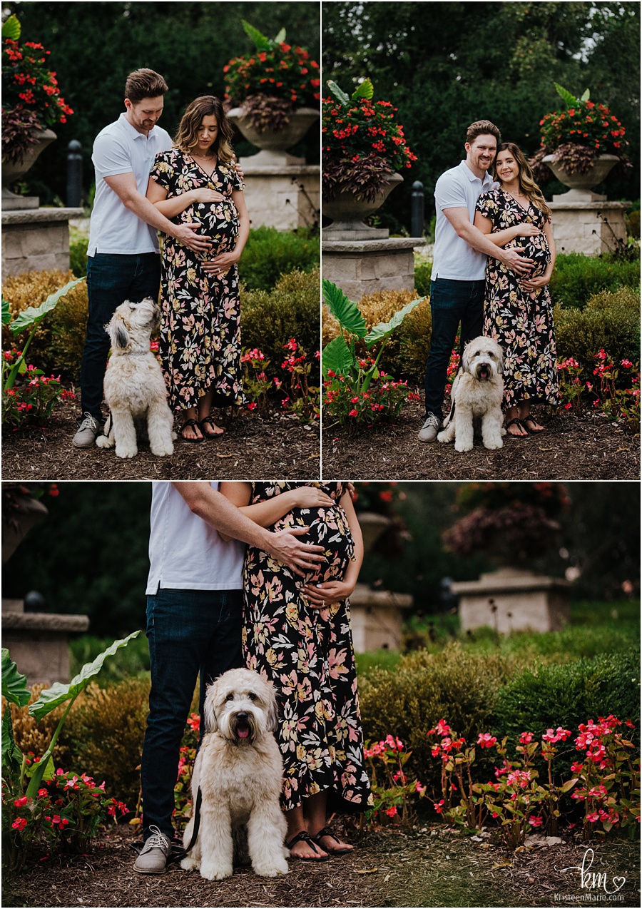 Maternity photography with pup