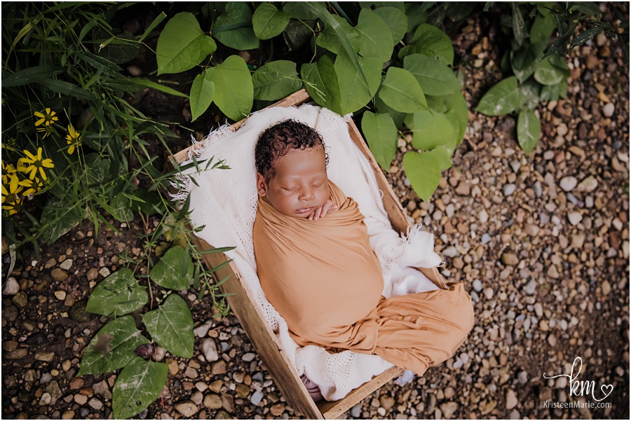 outdoor newborn picture baby wrapped near greenery