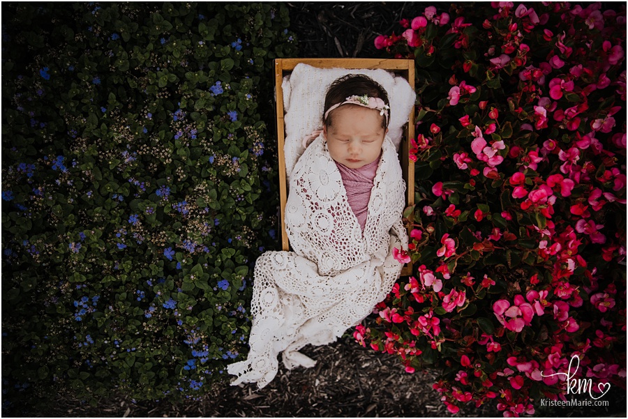 newborn girl in flowers - outdoor newborn photography in Indianapolis