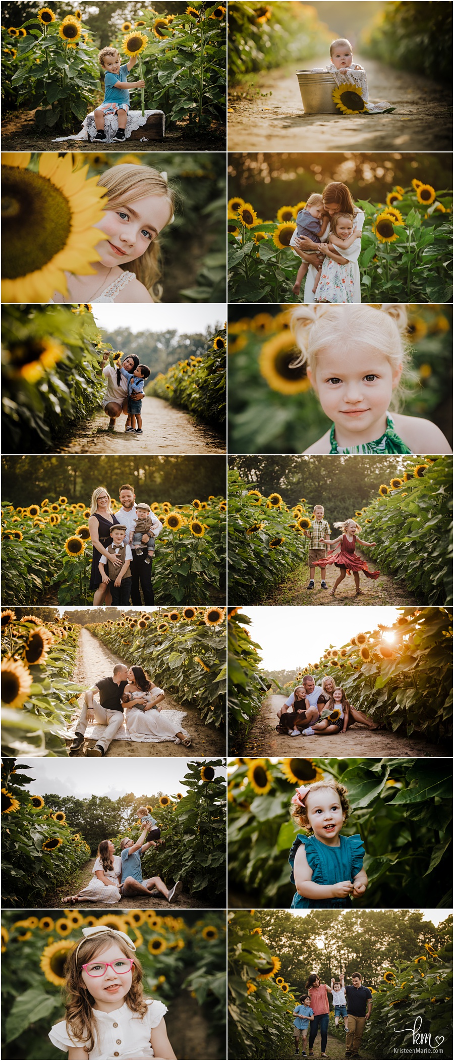 Sunflower photography sessions in Indianapolis