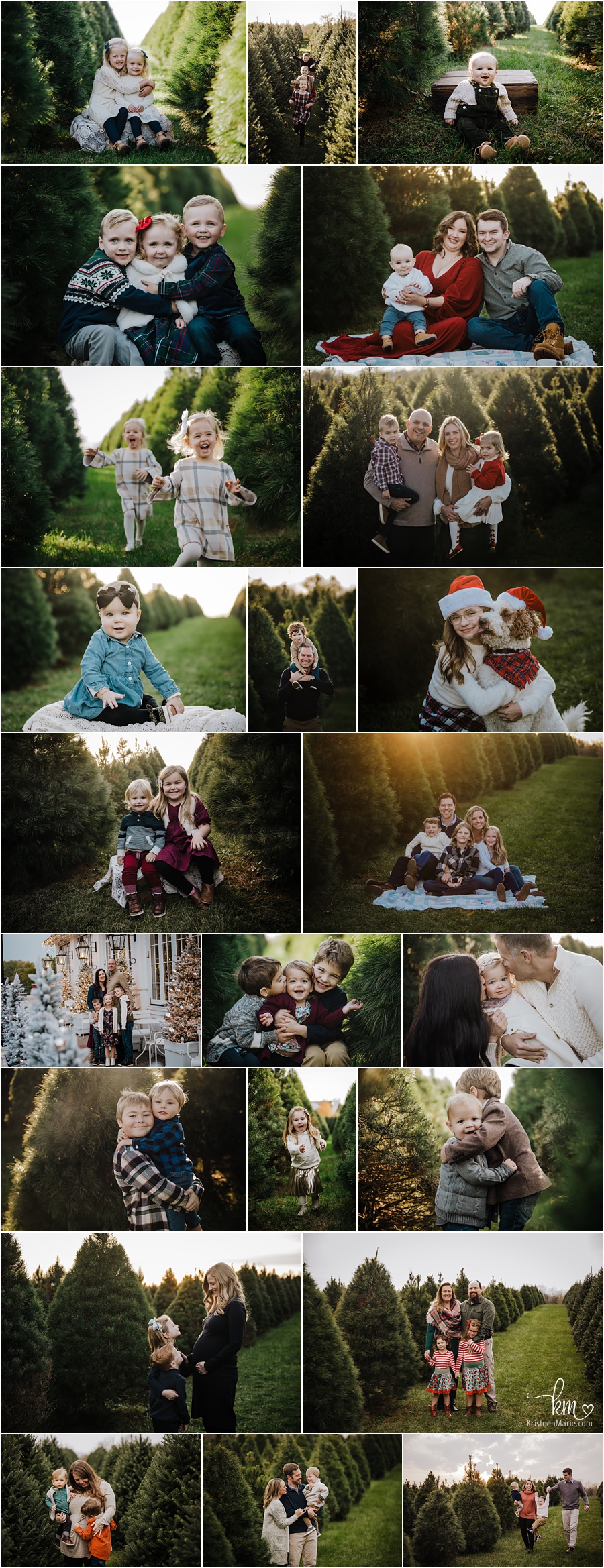 Tree Farm family photography in Indianapolis