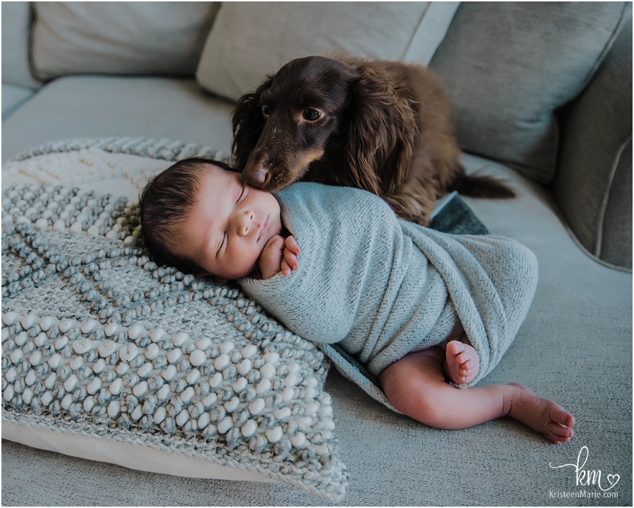 newborn and pup