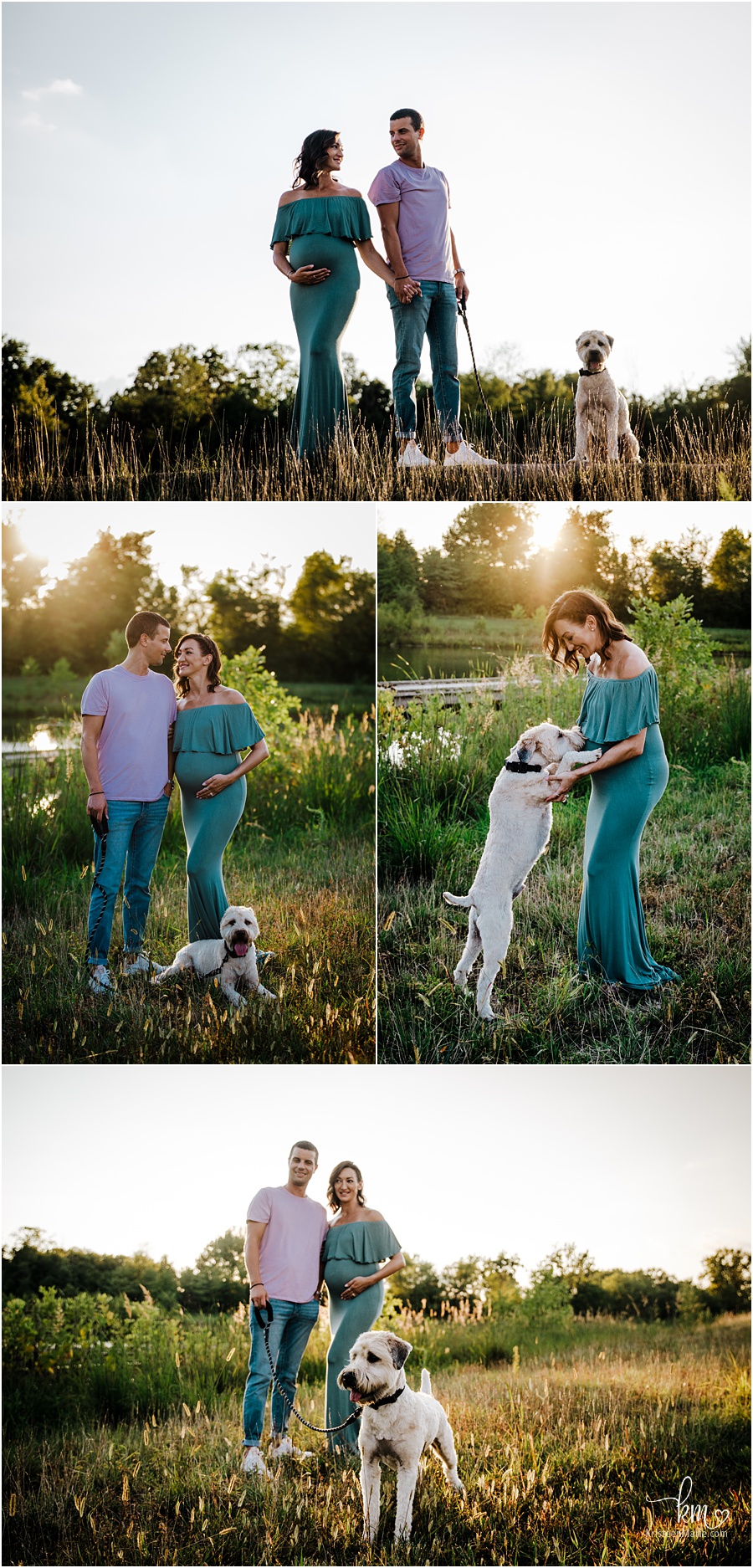 maternity pictures with family dog