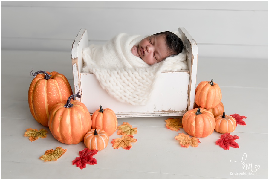 Pumpkins - fall newborn picture