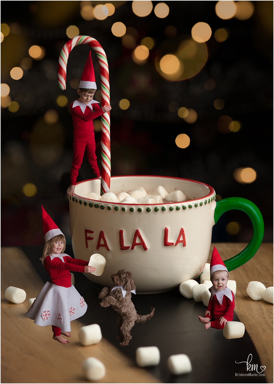 Elf on the shelf Christmas Card 