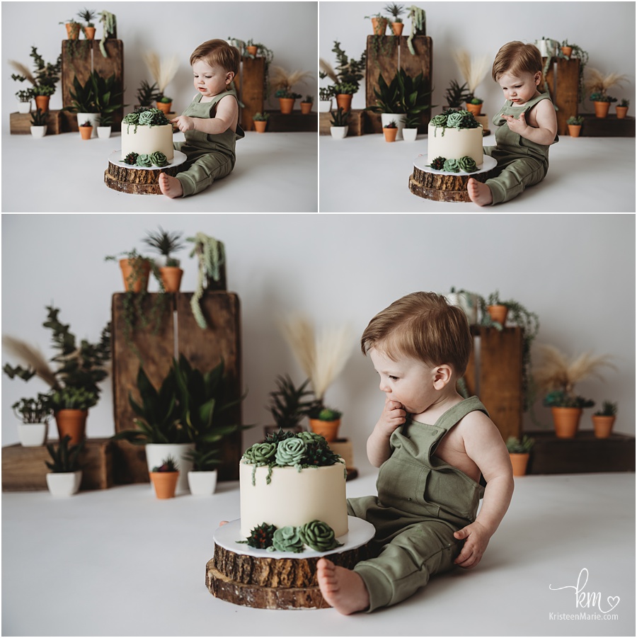 succulent themed cake smash session for baby's 1st birthday