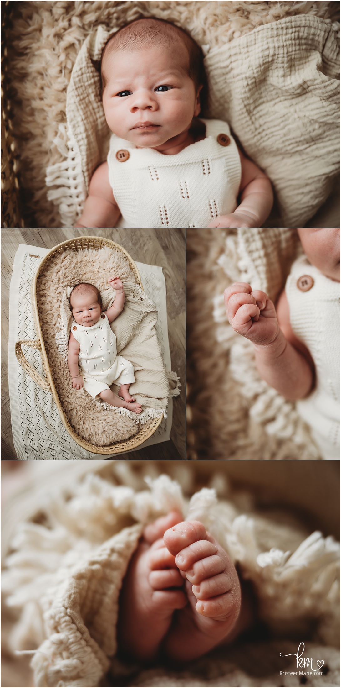 moses basket newborn photography