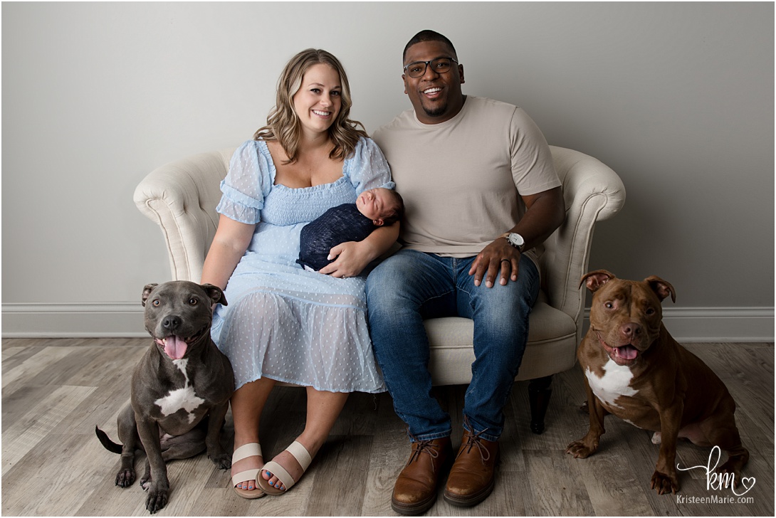 family with newborn baby and two pit bull pups