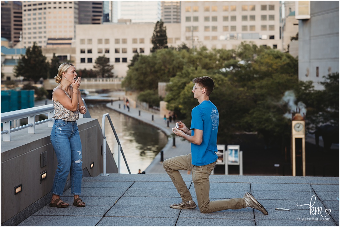Indianapolis proposal Photographer