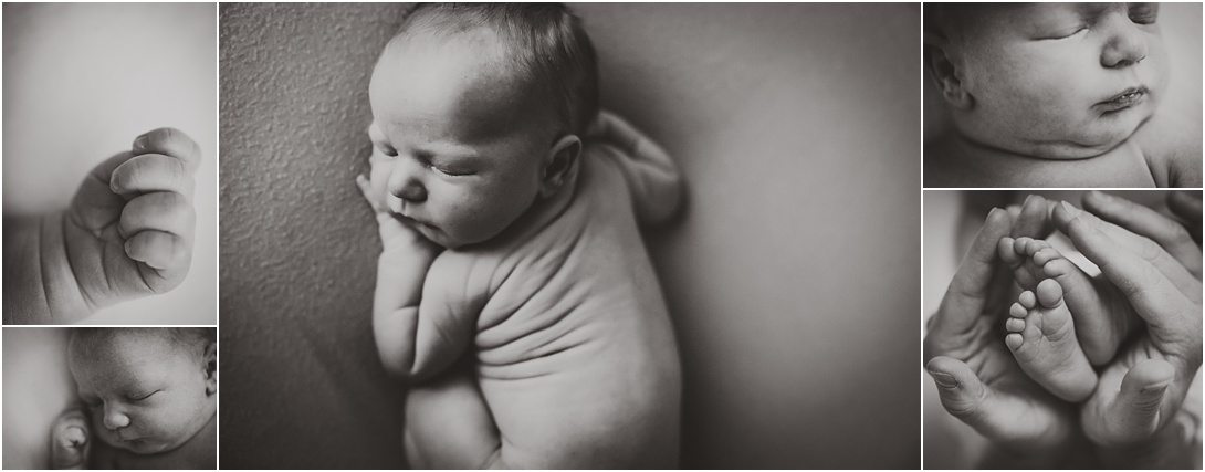 squishy newborn baby boy in black and white