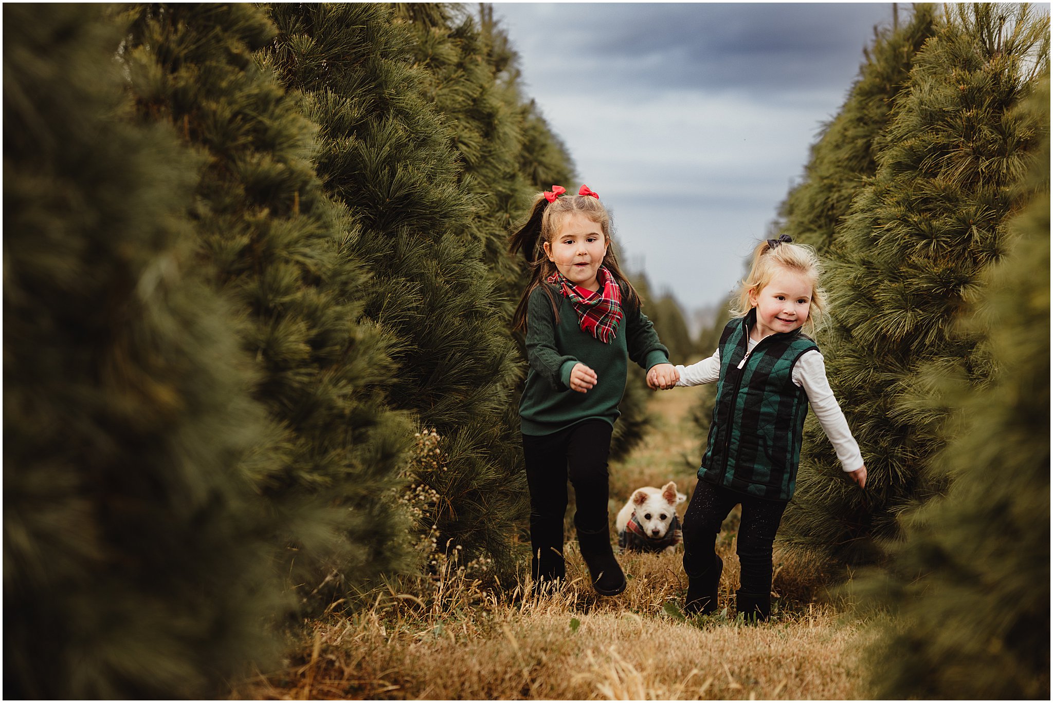 Kids running through the rows of trees during a November tree farm session.