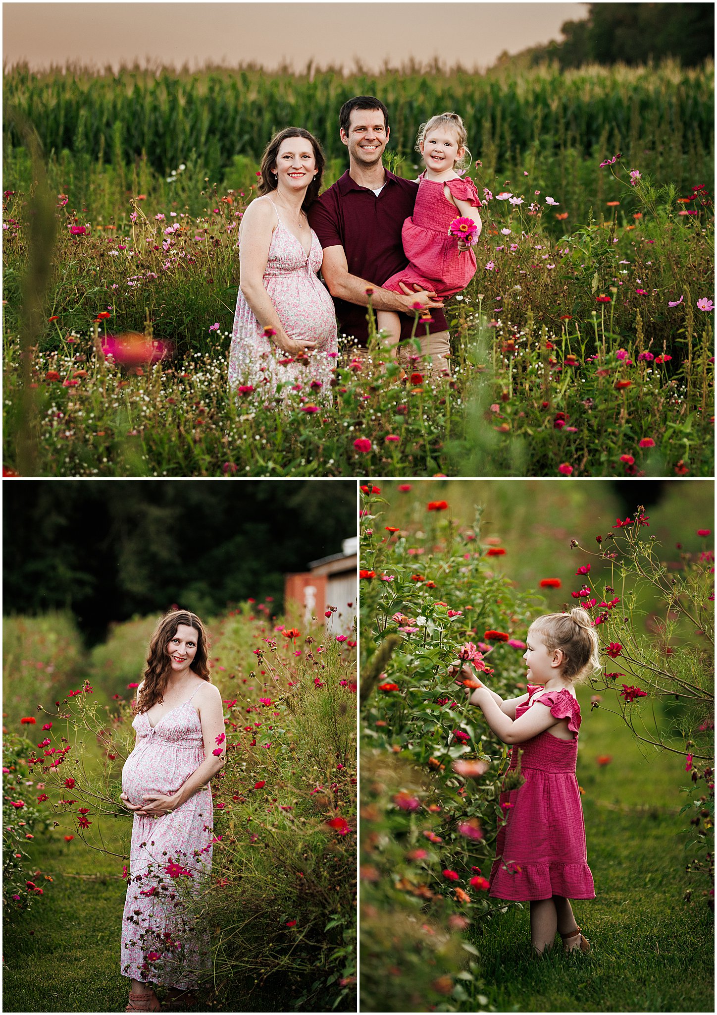 Glowing maternity session in Indianapolis at Dull’s Tree Farm, where wildflowers set the stage for timeless portraits.