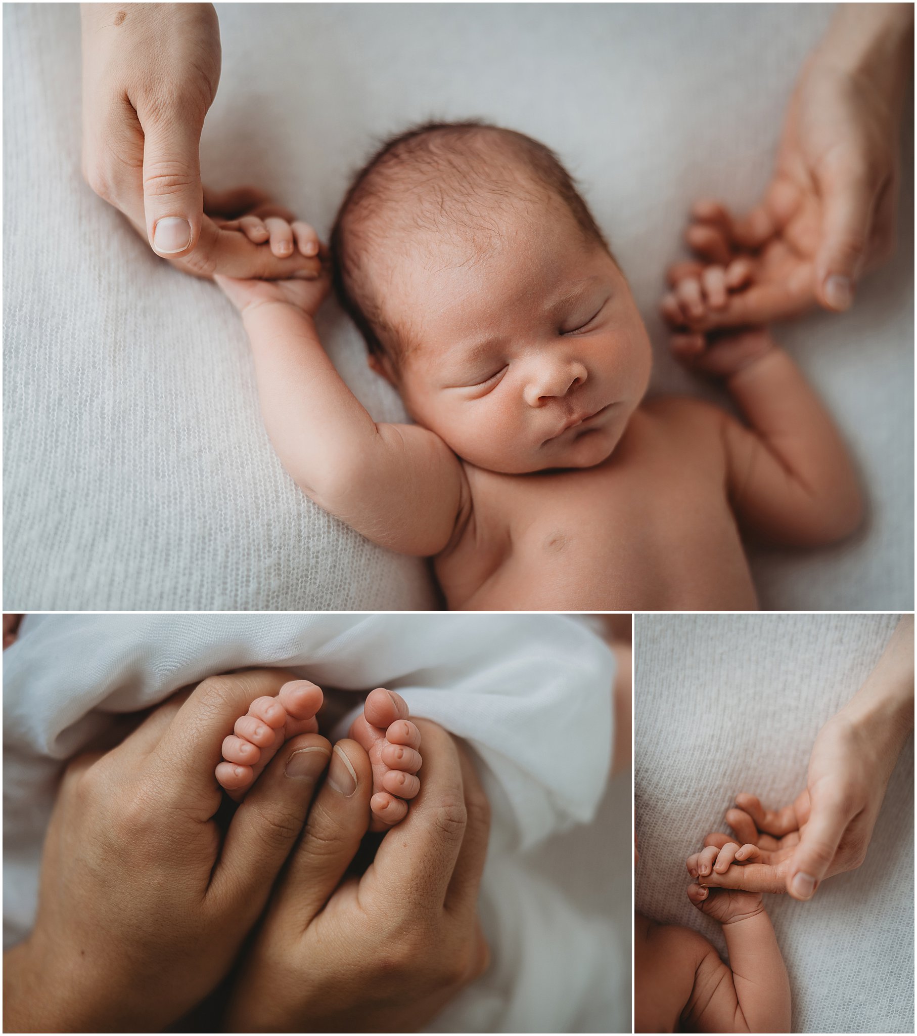 Soft detail of tiny newborn toes photographed in our Indianapolis newborn studio.