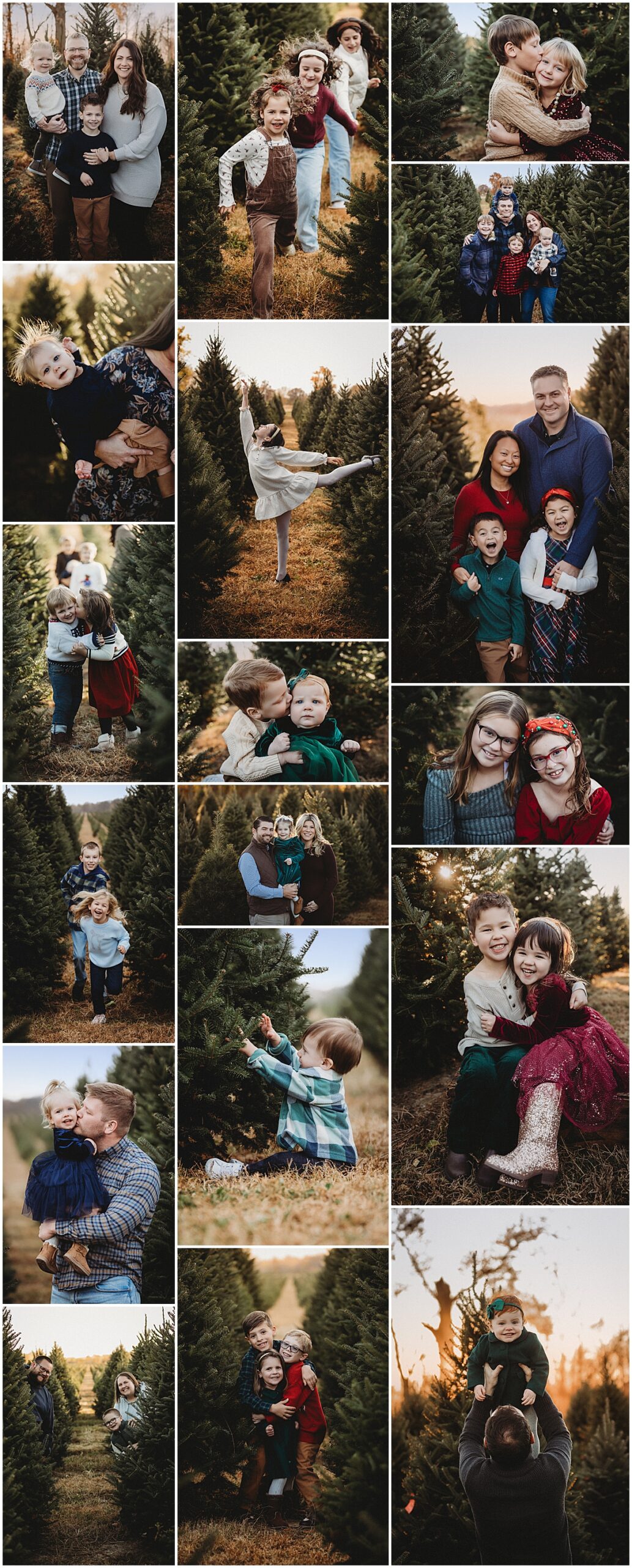 Tree Farm Mini Session
