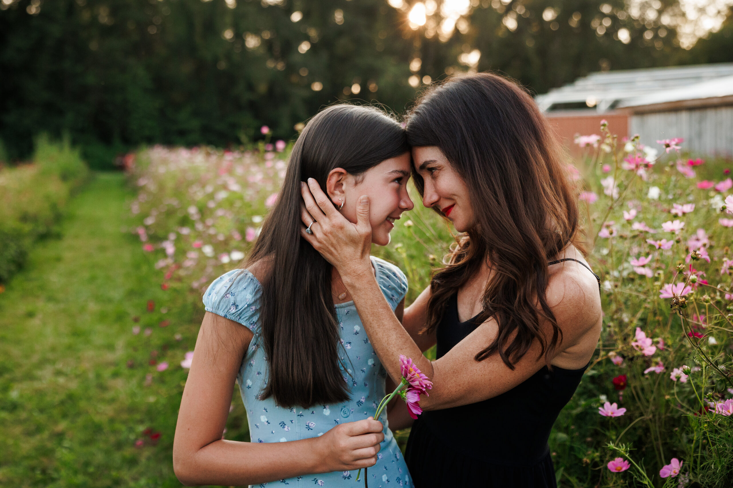 Wildflower Mini Session - Indianapolis family photography