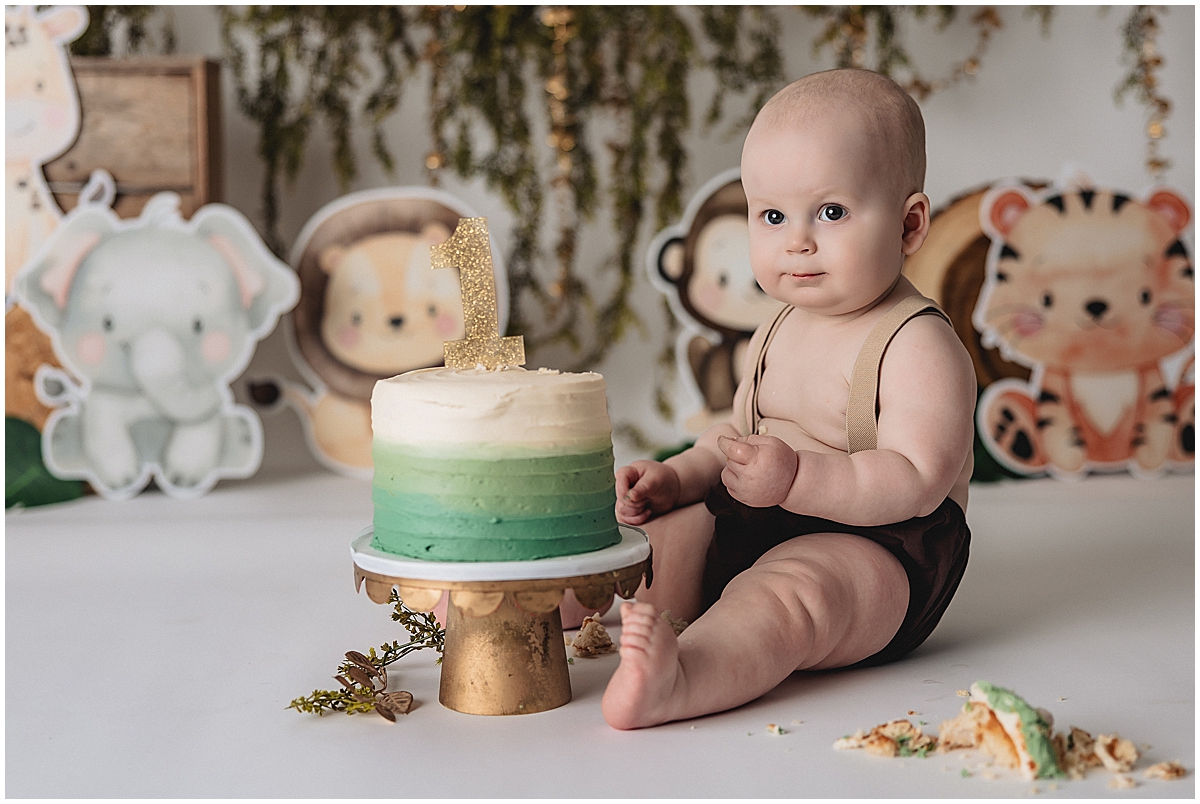 First birthday cake smash jungle theme setup - Indianapolis baby photography