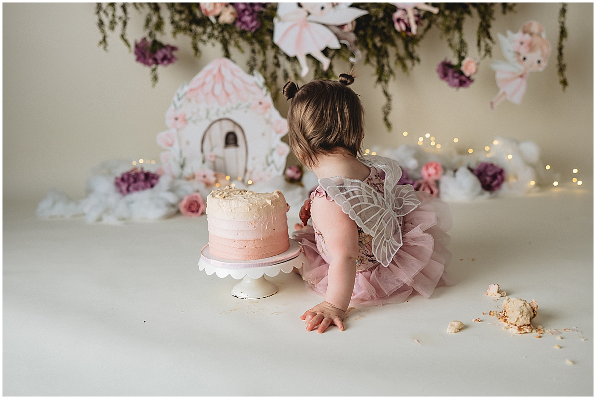 fairy wings on the back of a cake smash dress