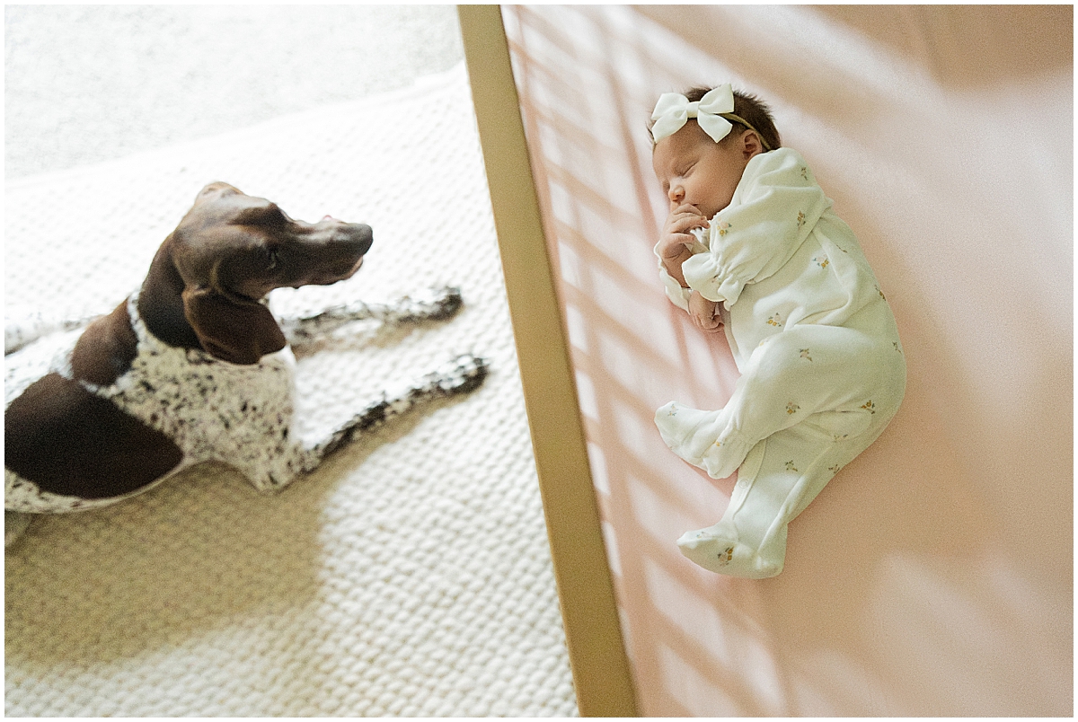 Two views of the family dog beside the newborn’s wooden crib.