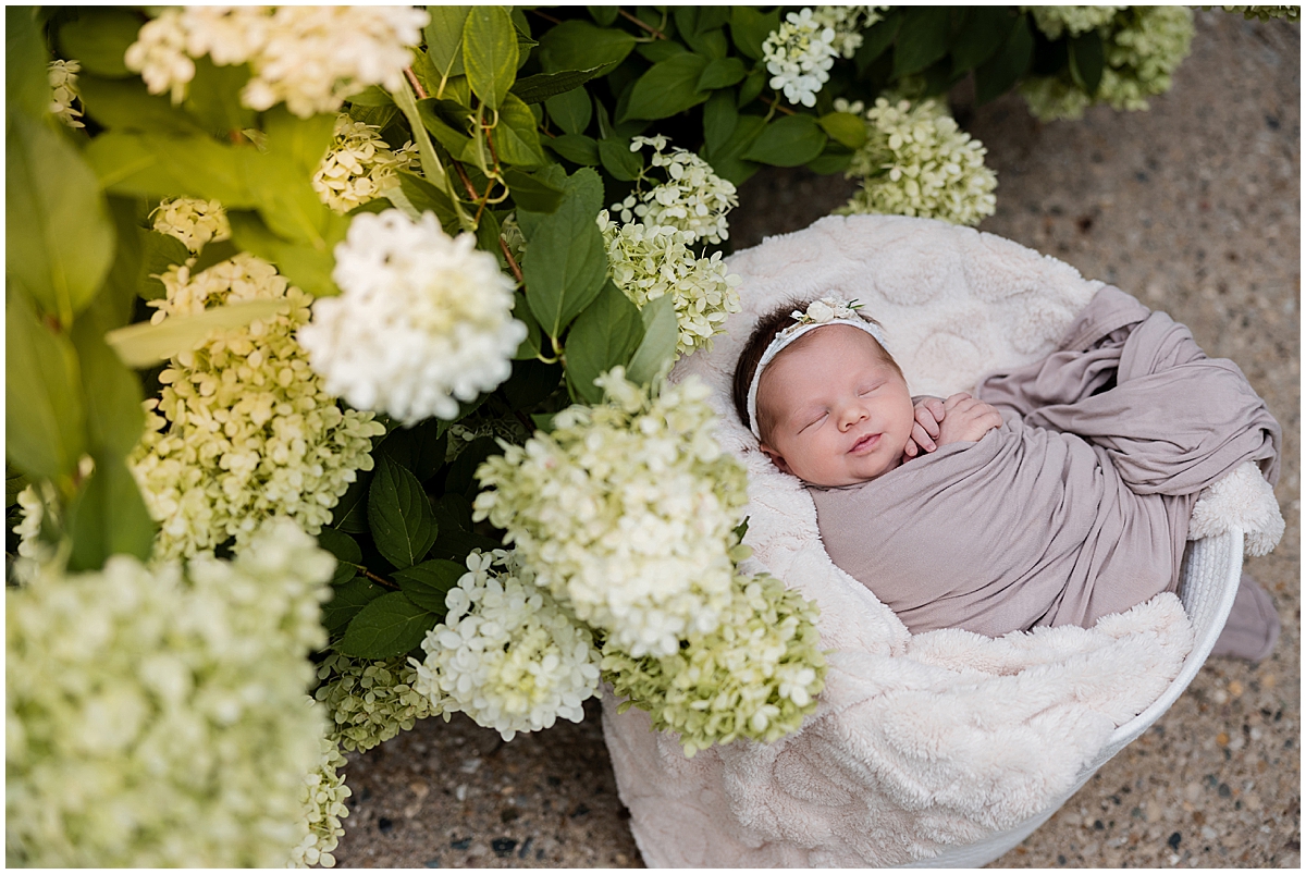 Swaddled newborn rests beside a collection of white hydrangea blooms.